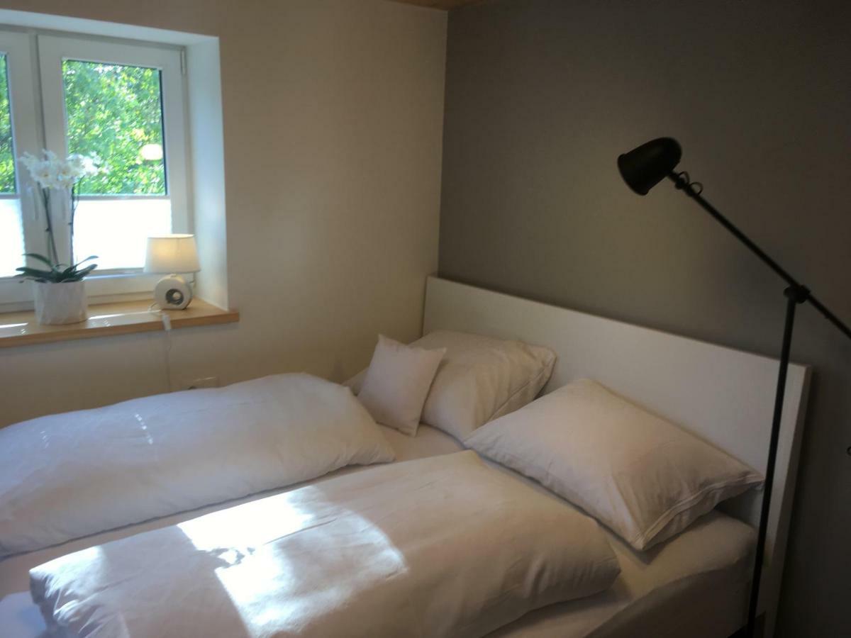 גוציס Wohnung In Zentraler Lage Im Rheintal מראה חיצוני תמונה