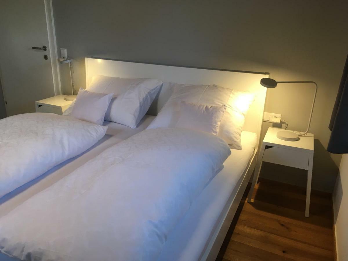 גוציס Wohnung In Zentraler Lage Im Rheintal מראה חיצוני תמונה